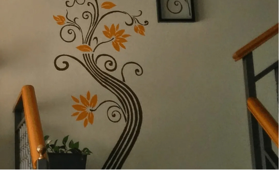 Detalles pintados en pared